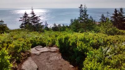 Sun on the Atlantic near Duncans Cove by Susan Corbin